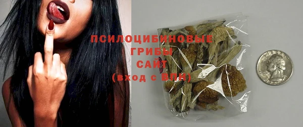 индика Аркадак