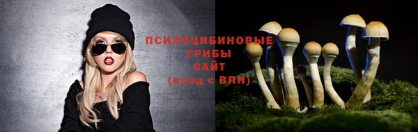 индика Аркадак