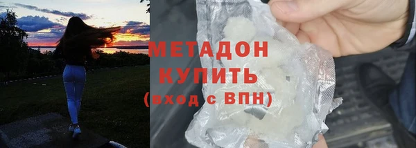 индика Аркадак