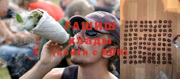 индика Аркадак