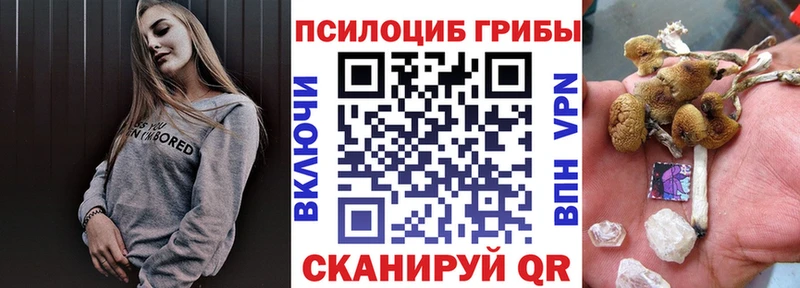 ссылка на мегу вход  Темрюк  Псилоцибиновые грибы Cubensis 